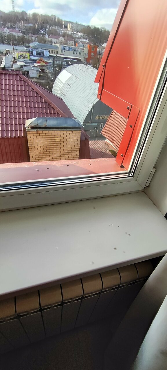 Гостиница Держава Смоленск-158