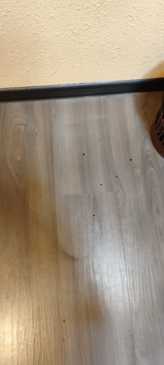 Гостиница Держава Смоленск-199