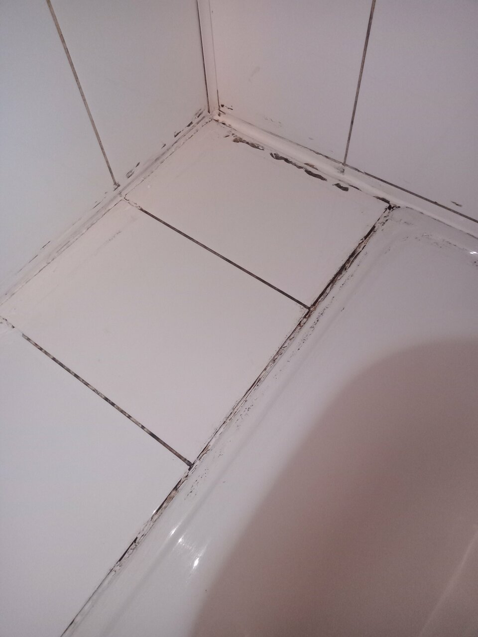 Гостиница Держава Смоленск-193