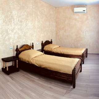 Гостиница Держава Смоленск Стандарт с 2мя раздельными кроватями-1