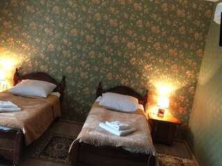 Гостиница Держава Смоленск Двухместный номер с 2 отдельными кроватями-1