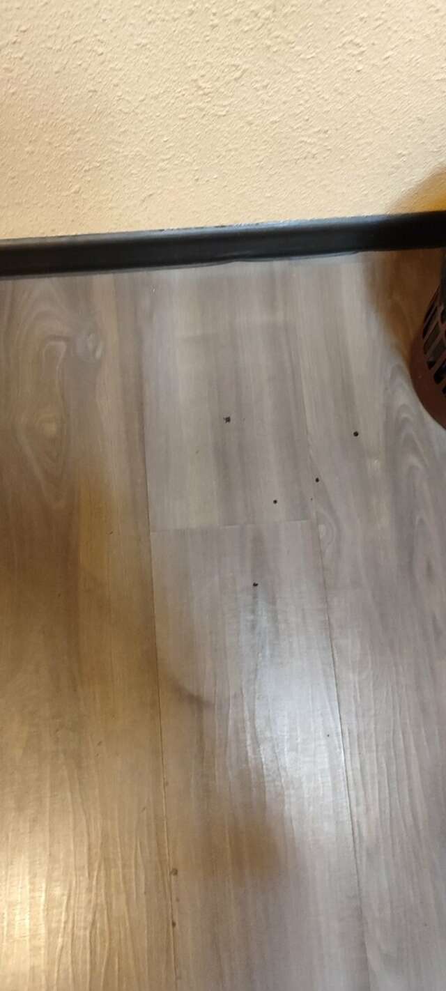 Гостиница Держава Смоленск-198